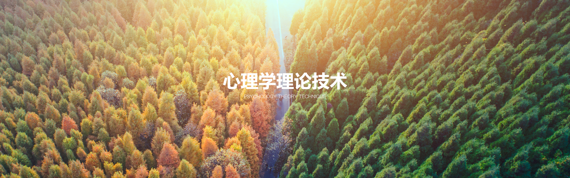 心理学技术方法