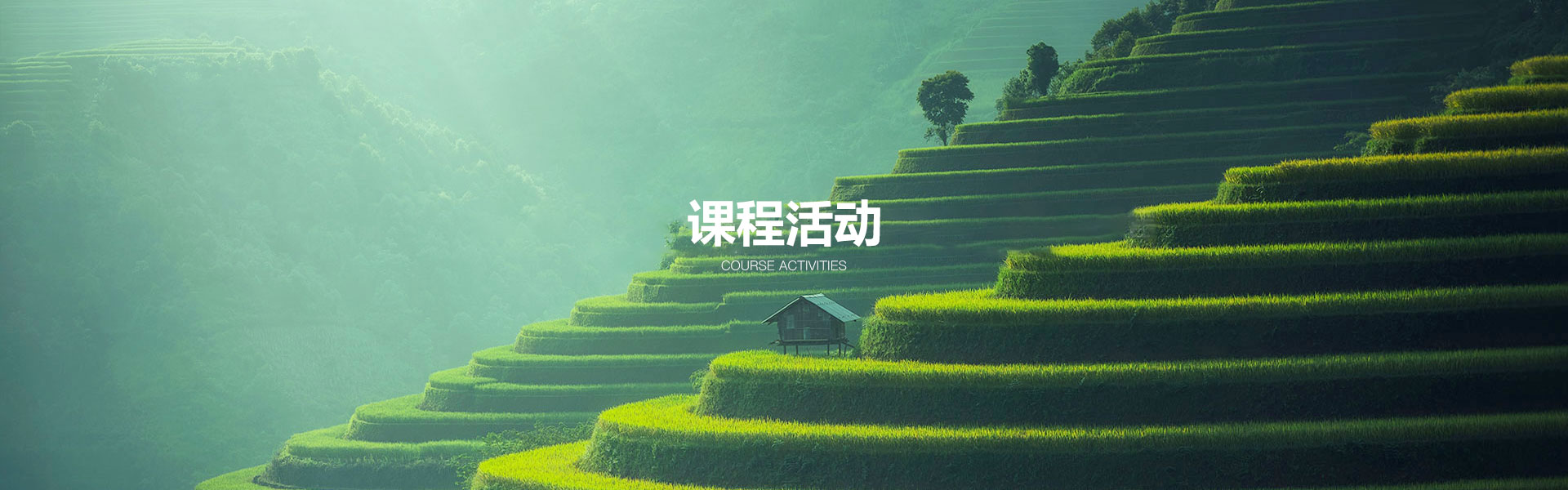 课程活动