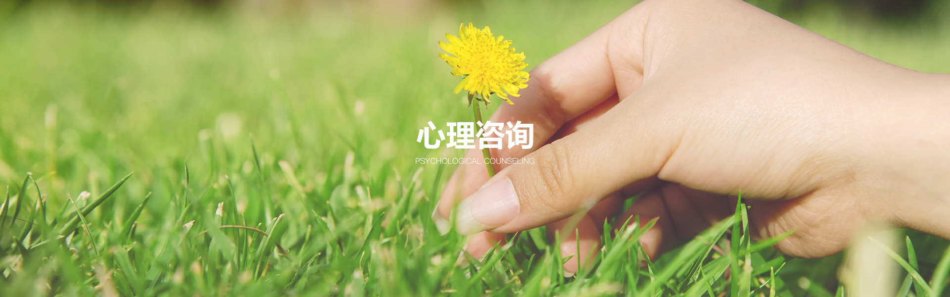 心理咨询