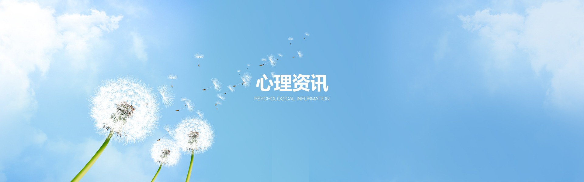 心理资讯